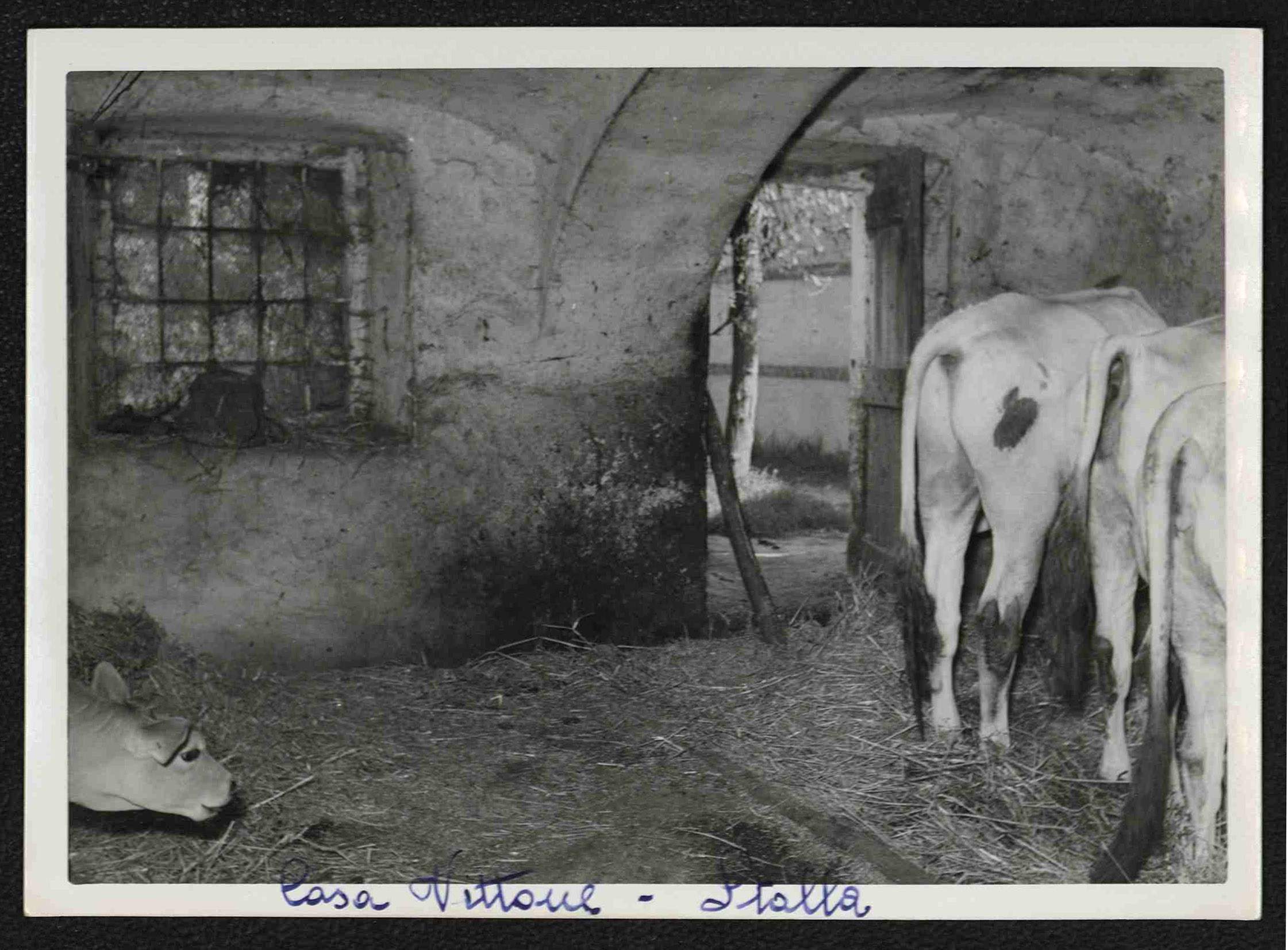 Fattoria / Campagna