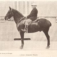 bianchi-b.jpg
