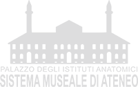 Sistema Museale di Ateneo logo